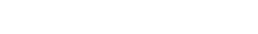 Server Security Authority